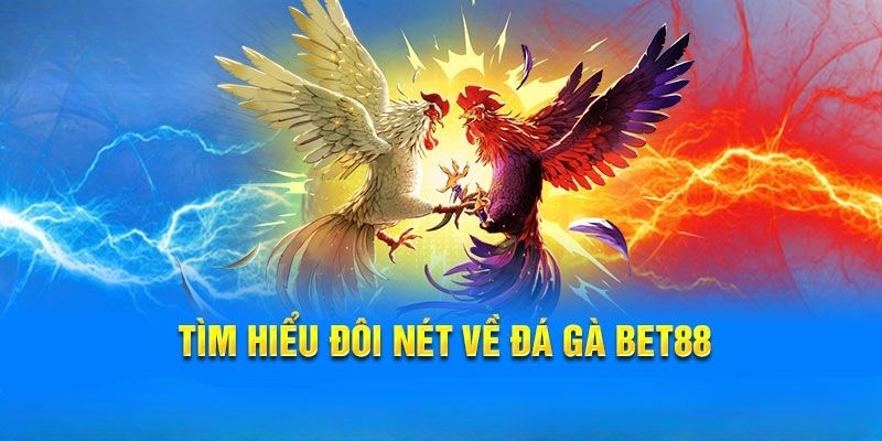 Thông tin tổng thể về đá gà Bet88